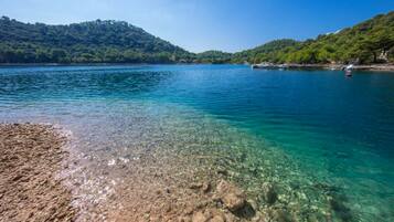 Apartment (Comfort One Bedroom Apartment with Ba) | Beach