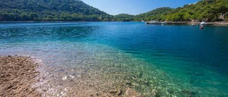 Apartment (Comfort One Bedroom Apartment with Ba) | Beach