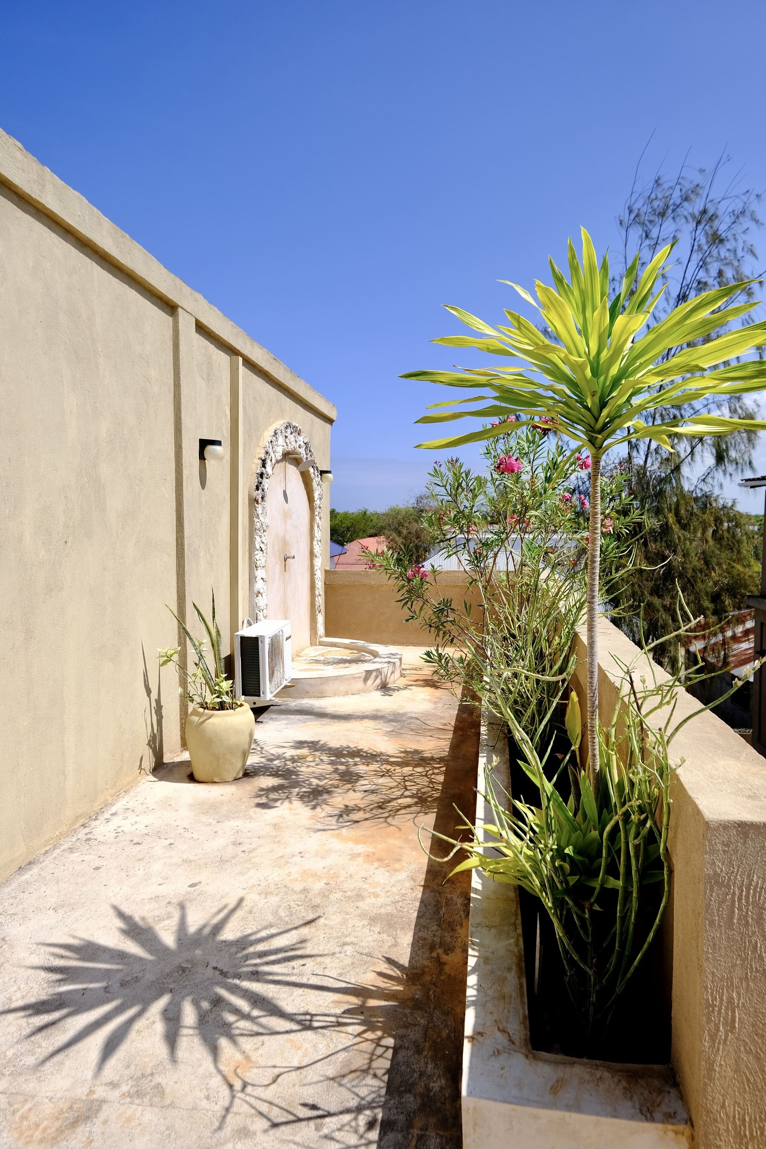 Un estrecho pasillo exterior con suelo de hormigón, una planta en maceta a la izquierda y una palmera a la derecha.