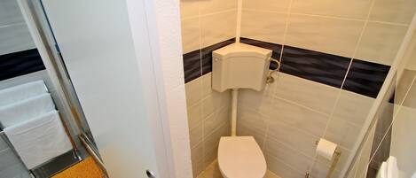 Egy kis, praktikus fürdőszoba, amelyben WC, zuhanyzó és törölközőtartó található.