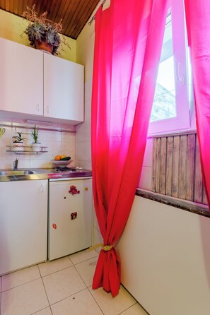 Studio (Studio Apartmen near the Park) | Private kitchenette | Fridge - Studio Apartment Silvana (Split)