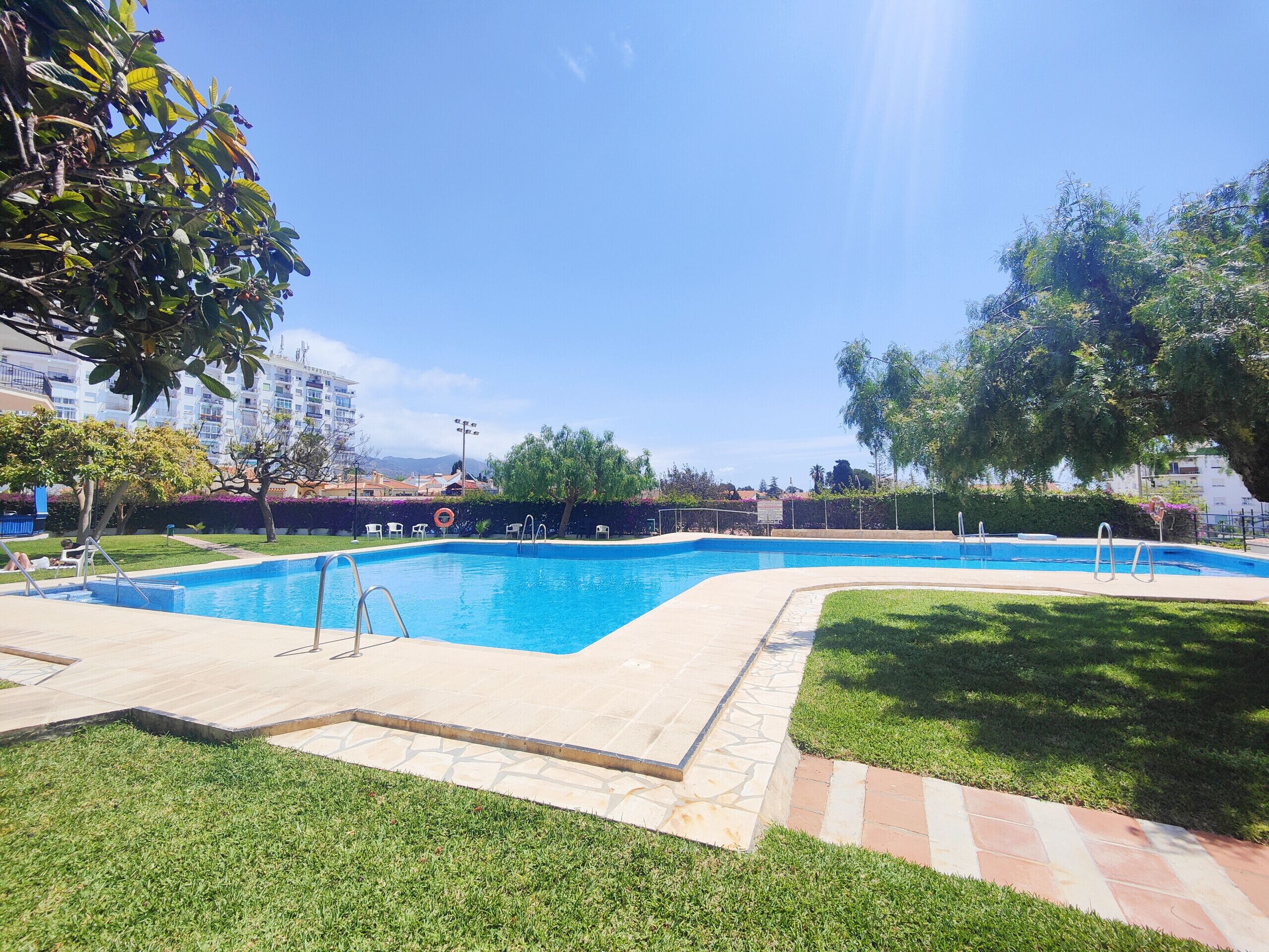 Una piscina amb un solàrium emblumat, envoltada d'herba i arbres.