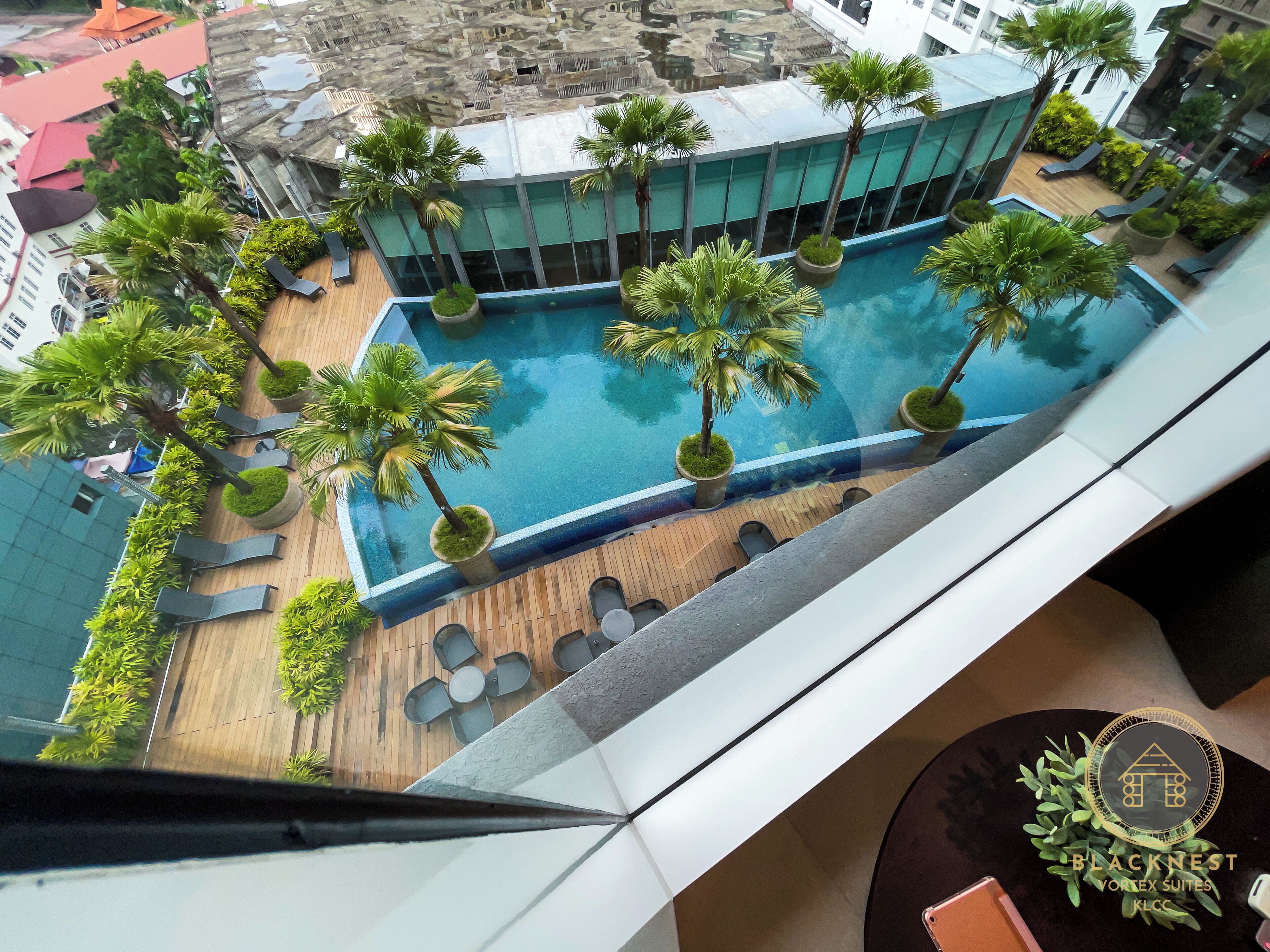 A rooftop pool area with palm trees, lounge chairs, and a modern building in the background.