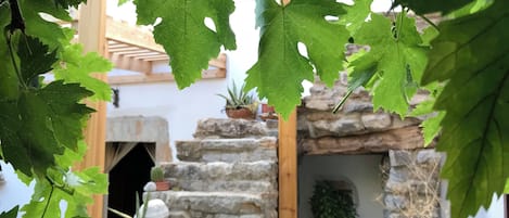 บริเวณภายนอก