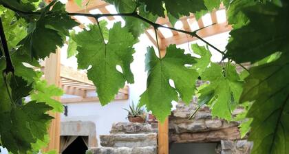 Mylopetra Four Seasons Traditional House