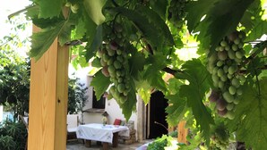 A wooden pergola with grapevines bearing clusters of green grapes.