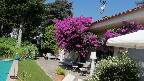 A poolside area with a patio, outdoor furniture, and a pergola with purple flowers.