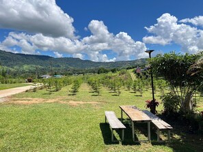 บ้านพักสแตนดาร์ด, 2 ห้องนอน, ห้องน้ำส่วนตัว, วิวภูเขา | บริเวณนั่งเล่น | เตาผิง