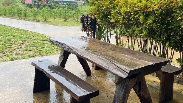 Una mesa de picnic de madera con bancos, rodeada de abundante follaje y un edificio a lo lejos.