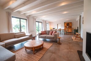 TV, fireplace, books