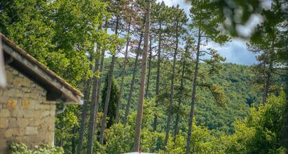 L'écrin de Bruniquel - Heated Pool - Nature