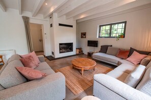 TV, fireplace, books