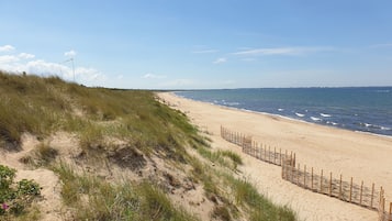 On the beach