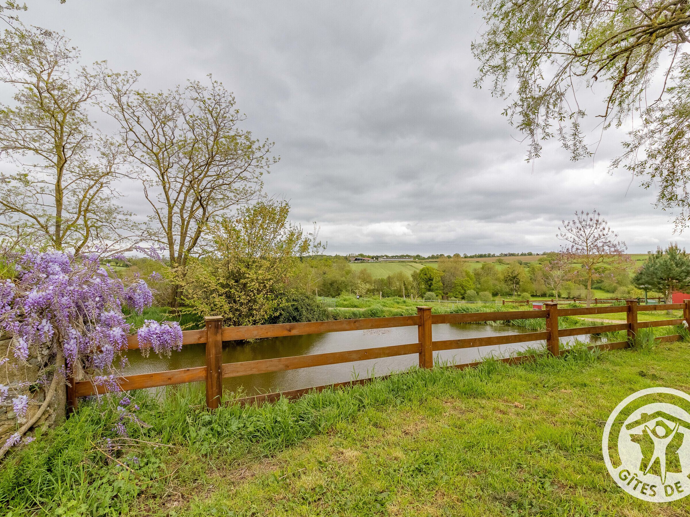 A wooden fence overlooking a river with lush greenery and purple flowers.