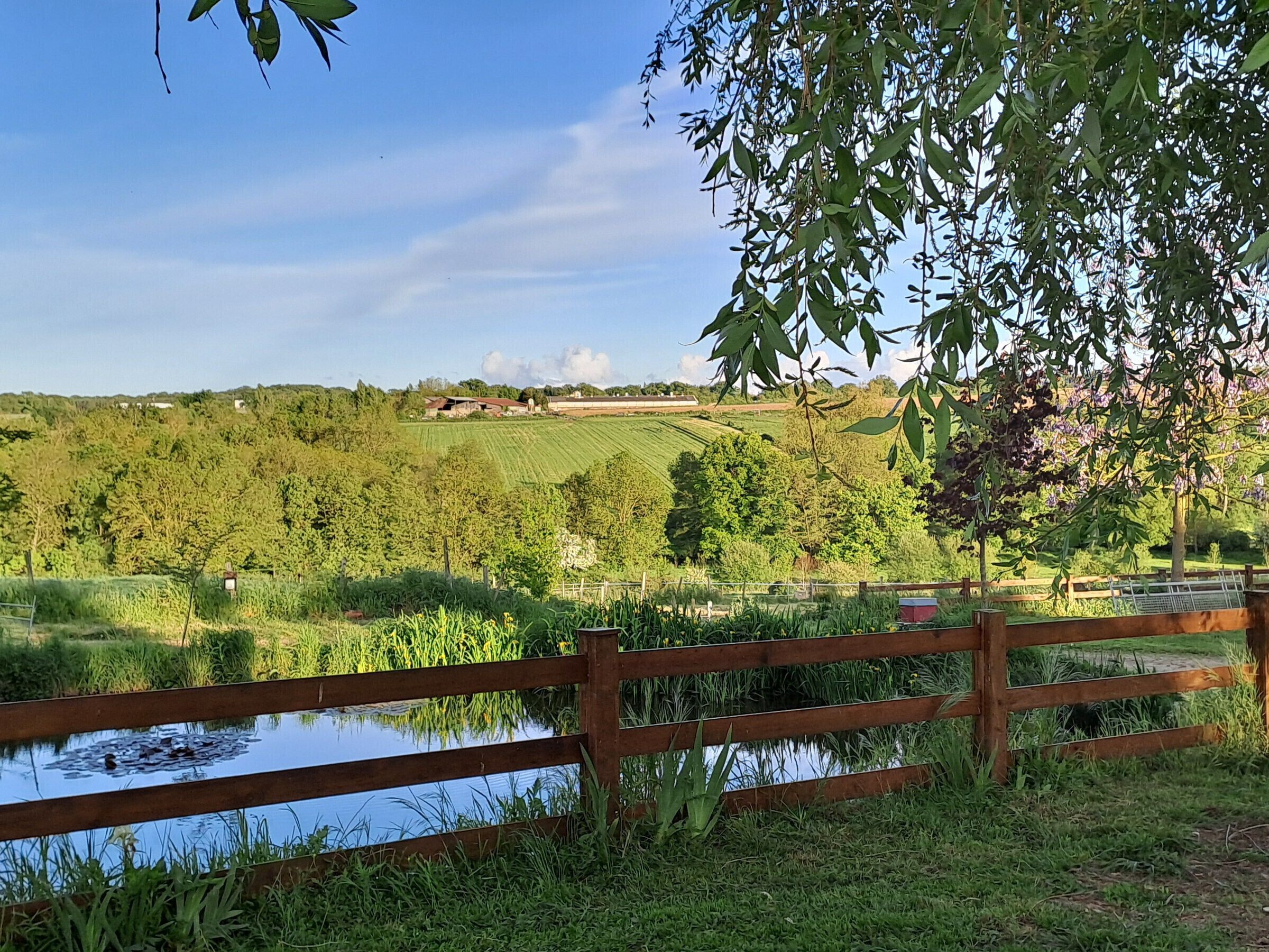 Áreas de la propiedad
