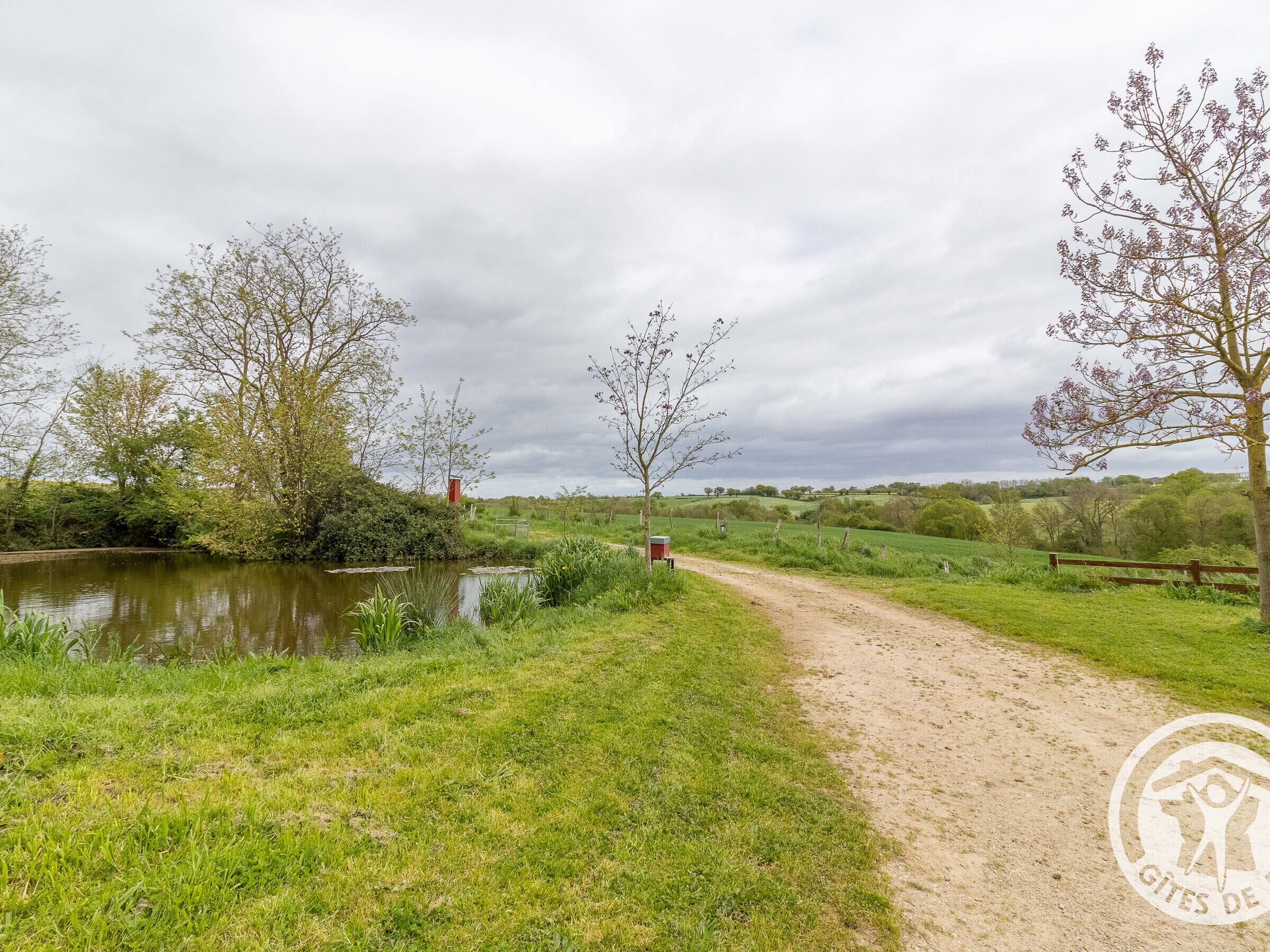 Un paysage rural avec un chemin de terre menant à un étang, entouré de verdure et d’arbres.
