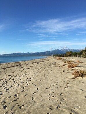 A beach with footprints, palm trees, and mountains in the background.