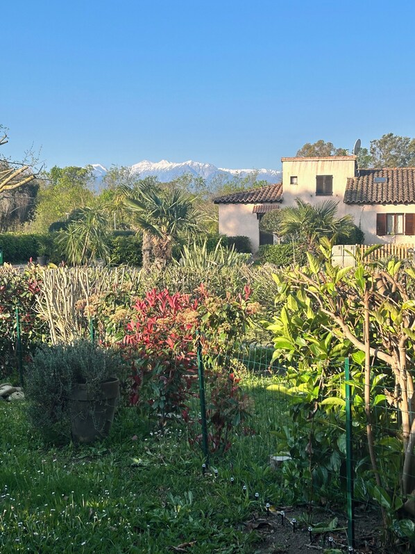 A residential area with a house, garden, and mountains in the background.