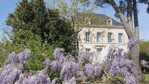 Ein großes Gebäude mit vielen Fenstern und einem markanten Baum im Vordergrund.