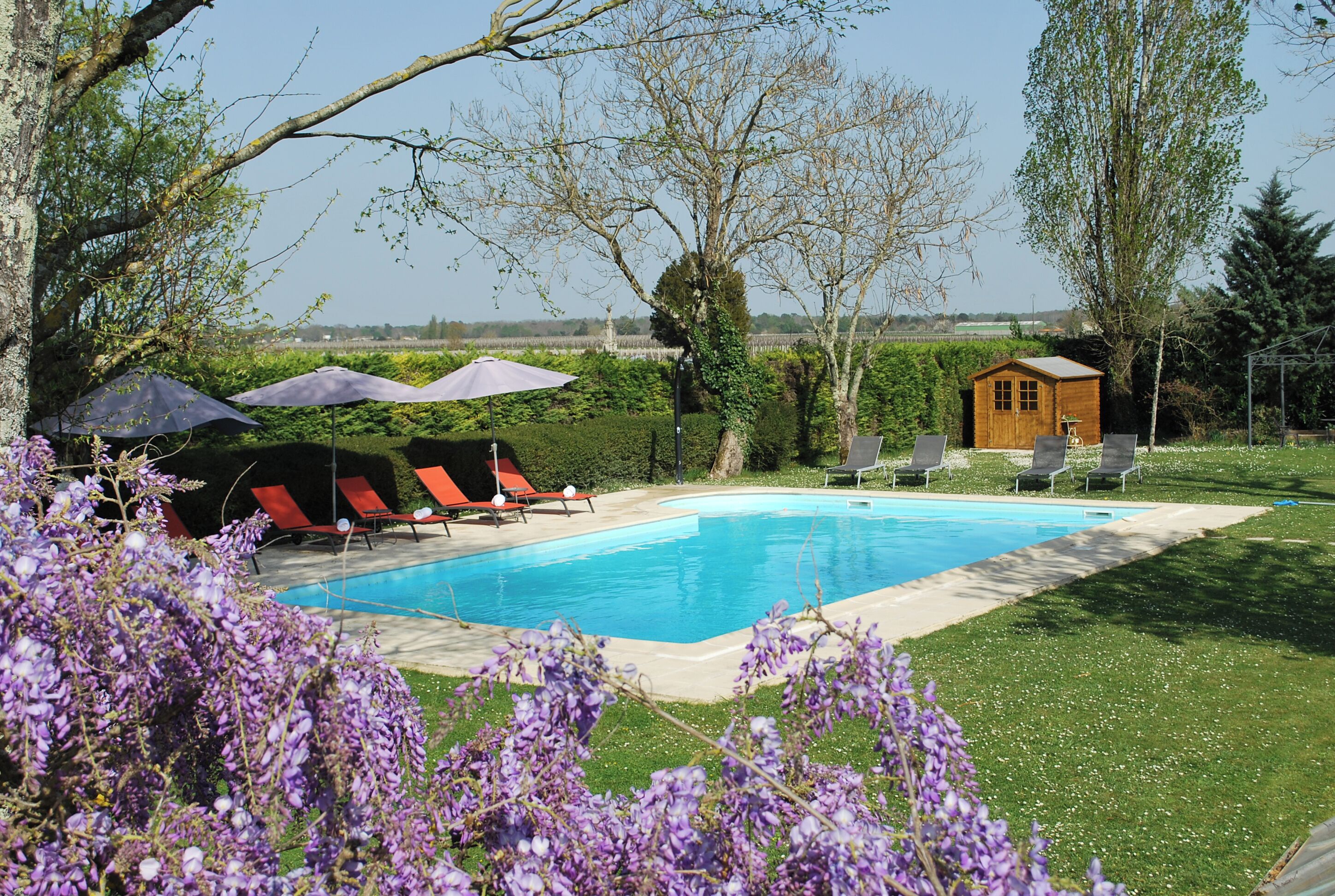 Una piscina con sillas de descanso y sombrillas, rodeada de vegetación y una pequeña estructura de madera.
