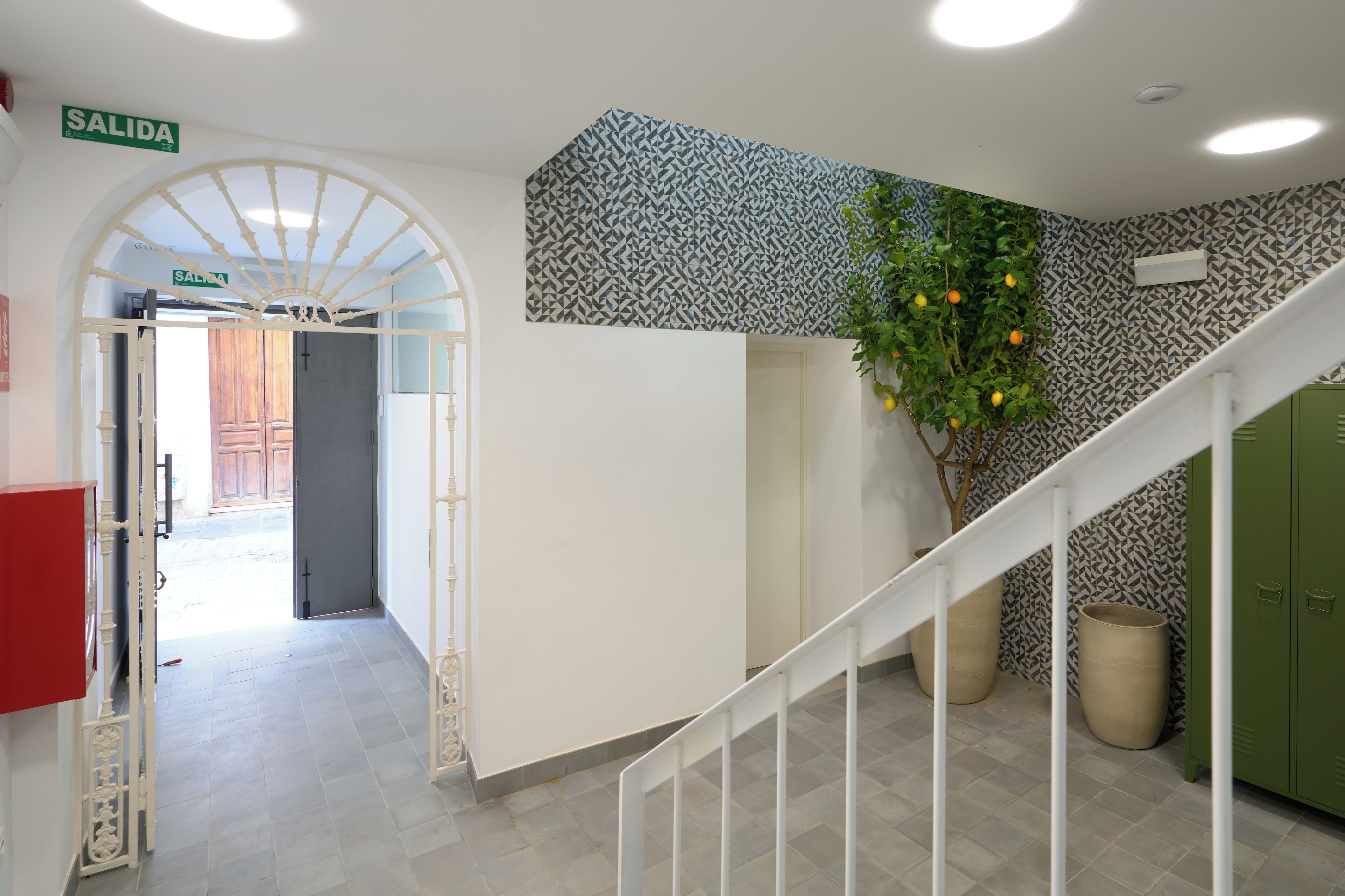 Un pasillo con una puerta blanca que dice "SALIDA", un papel tapiz decorativo, una escalera y una planta con frutos amarillos.