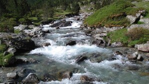 A river flowing through a mountainous landscape with rocky terrain and dense forest.