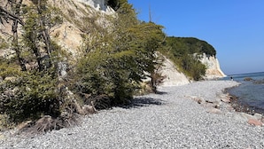 A rocky beach with white cliffs and dense greenery.