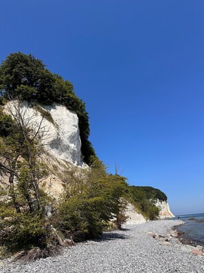 Una playa rocosa con acantilados blancos y abundante vegetación.