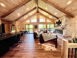 Télévision, cheminée, lecteur de DVD