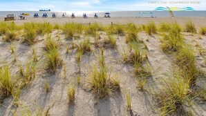 Una spiaggia con dune di sabbia e sdraie.