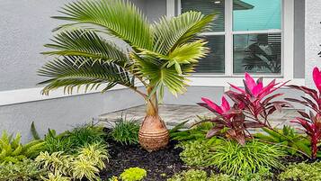 Villa | 3 bedrooms, Internet