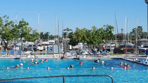 Une piscine dotée de plusieurs couloirs, entourée de chaises longues et de palmiers.