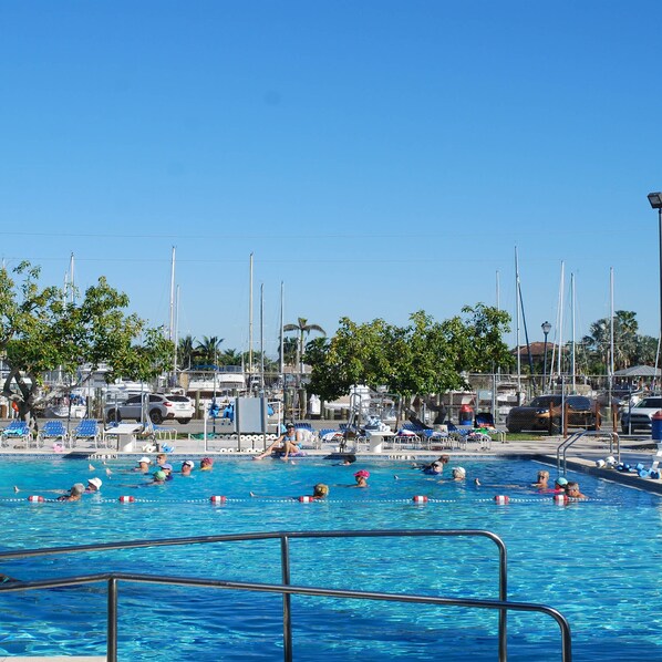 A swimming pool with multiple lanes, surrounded by lounge chairs and palm trees.