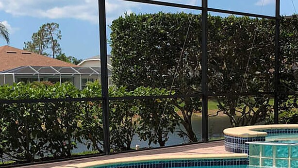 A swimming pool with clear blue water, surrounded by a tiled deck and a glass enclosure. - Altaira - top Location Lake View Pool Spa 4 Bed (Naples)