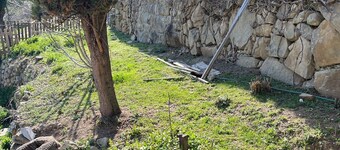 Ă la Montagne Avec Animaux de la Ferme