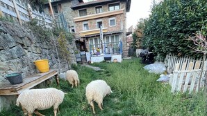 Un edificio rústico de piedra con un muro de piedra y una valla de madera.