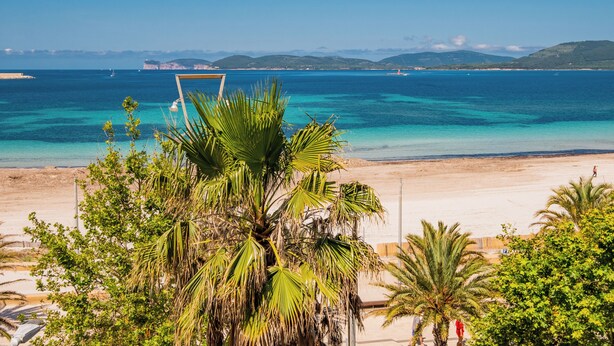 A beach with clear turquoise waters, palm trees, and a distant view of mountains. - Hotel Il Gabbiano (Alghero)
