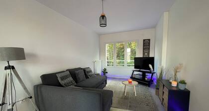 Duplex 1 Chambre Avec Balcon TrĂšs Lumineux