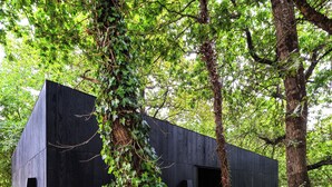 Una cabaña moderna de color oscuro ubicada en un bosque. Cuenta con una terraza de madera y un gran ventanal abierto.