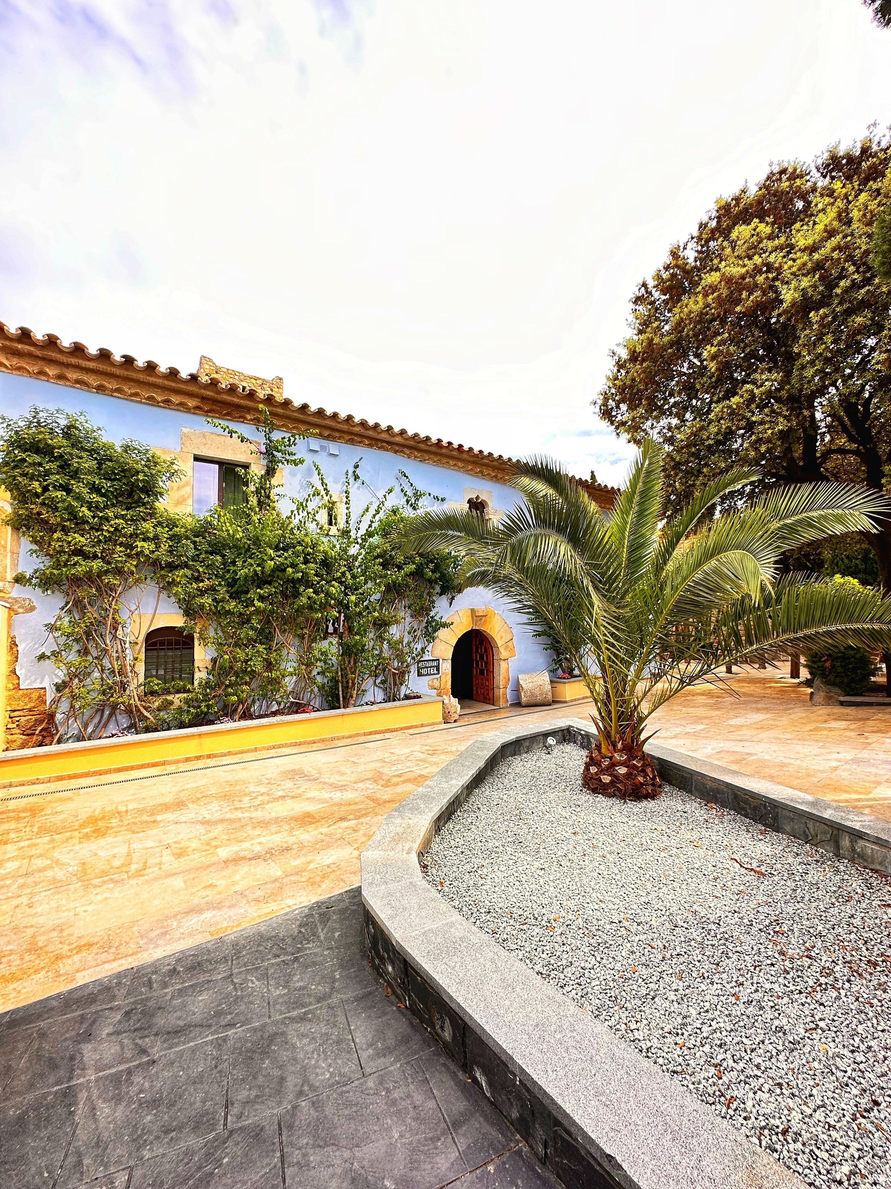 Un patio con un edificio de techo con tejas y puertas arqueadas, rodeado de follaje y una palmera.