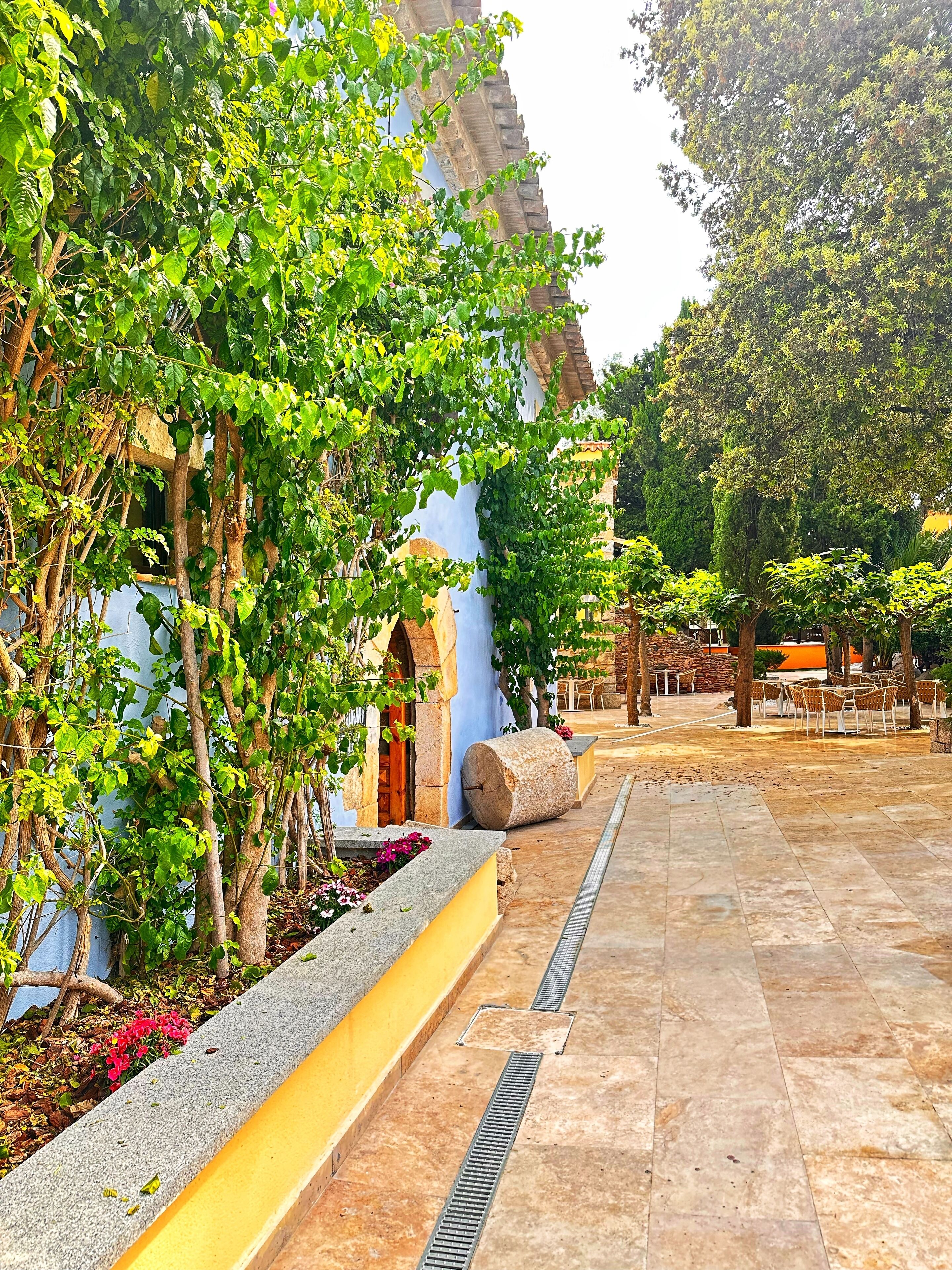 A courtyard with a tiled floor, stone bollards, and a yellow curb.