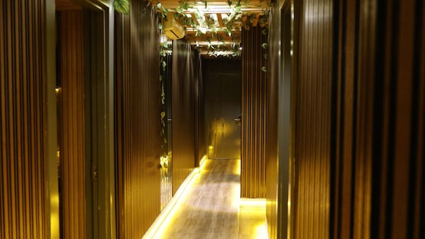 Un pasillo con paneles de madera y techo de madera decorado con plantas colgantes.