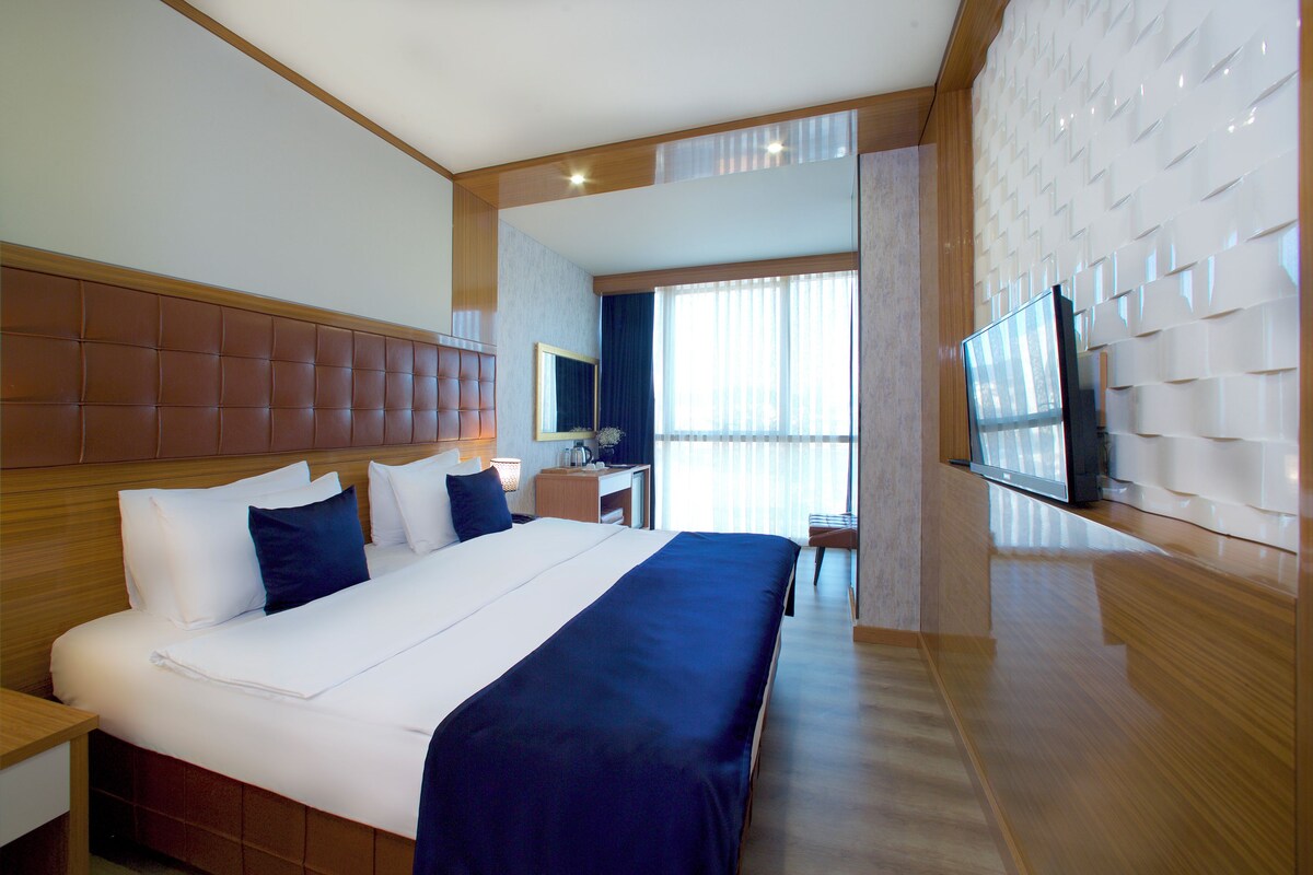 A hotel room with a large bed, a desk, a television, and a view of the outdoors.