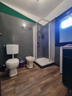 シャワー、ヘアドライヤー、ビデ、タオル