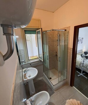 Shower, hair dryer, bidet, towels