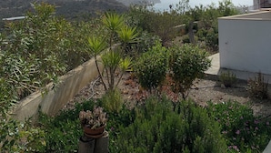 A garden with various plants and a view of distant mountains. - Villa Aliki (Ierapetra)