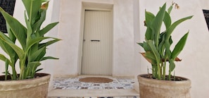 Detalle del exterior