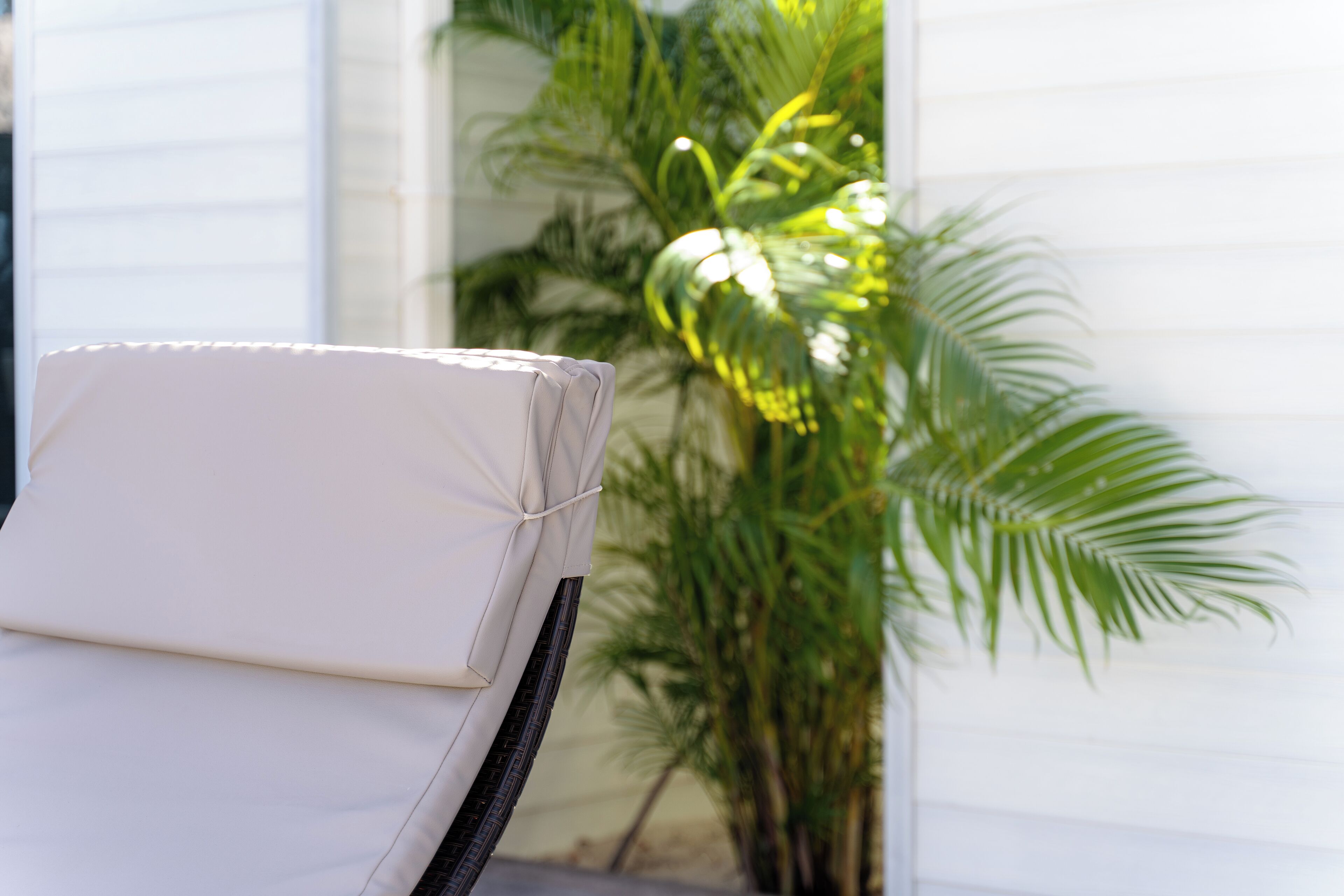 A white chair with a cushion, positioned near a white wall and a green plant.
