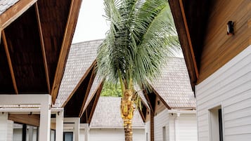 Chambre Double, vue jardin | Vue sur le jardin