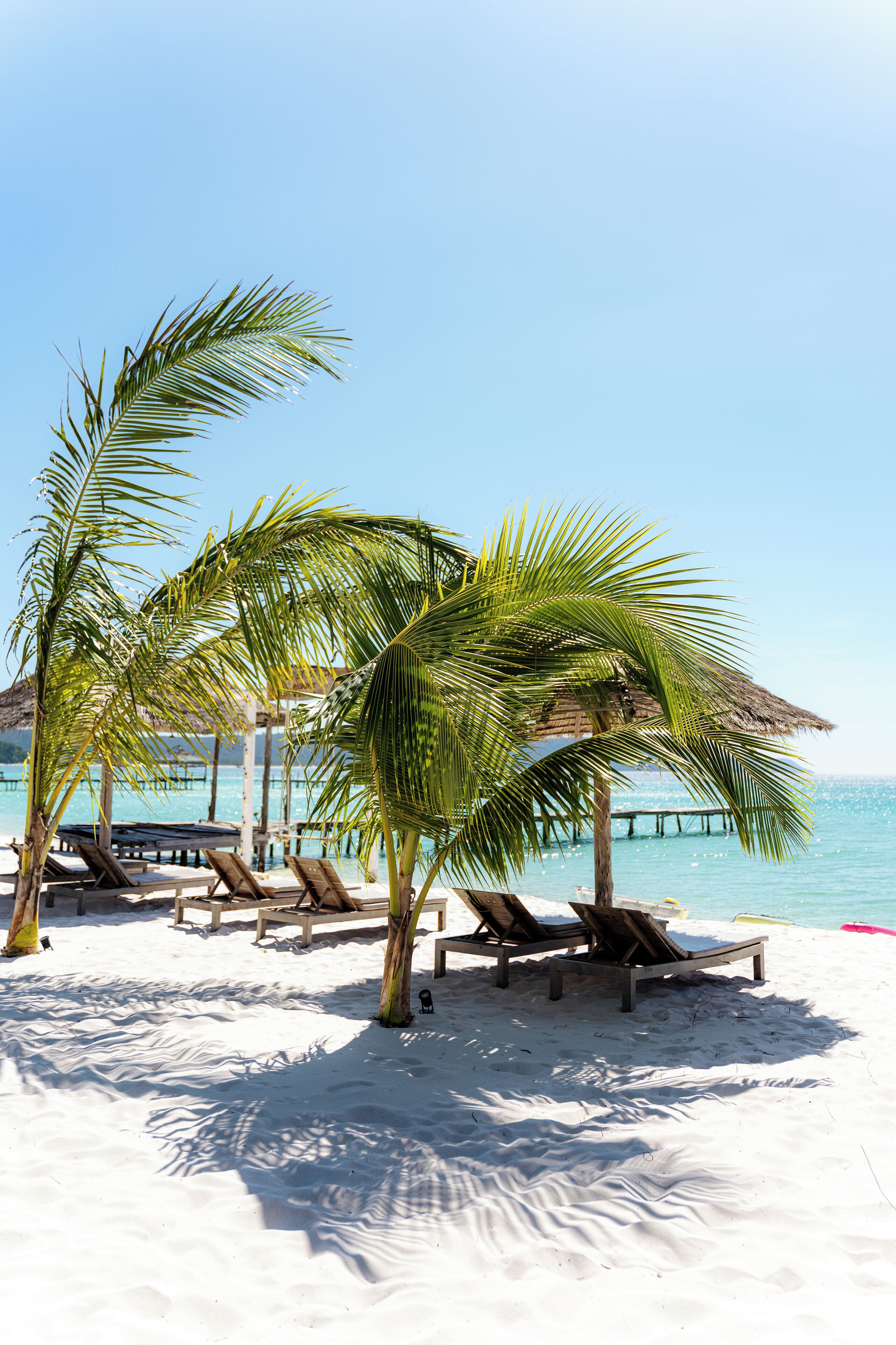 A beach with palm trees, lounge chairs, and a pier in the background.